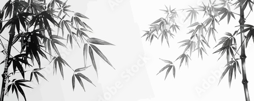 Bamboo | Minimalist and Simple Line White background - Vector illustration
