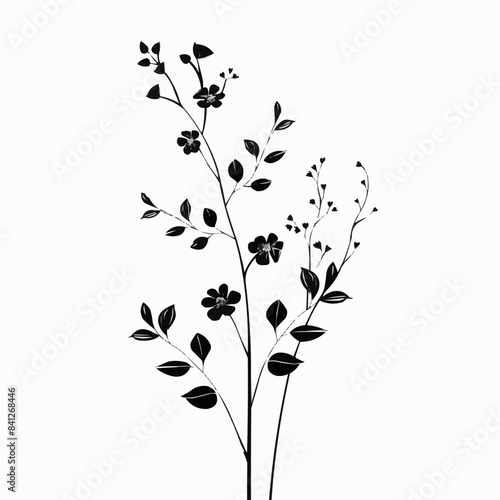 Minimal feminine botanical floral branch in silhouette style. Hand drawn wedding herb, minimalistic flowers with elegant leaves. vector isolated white background