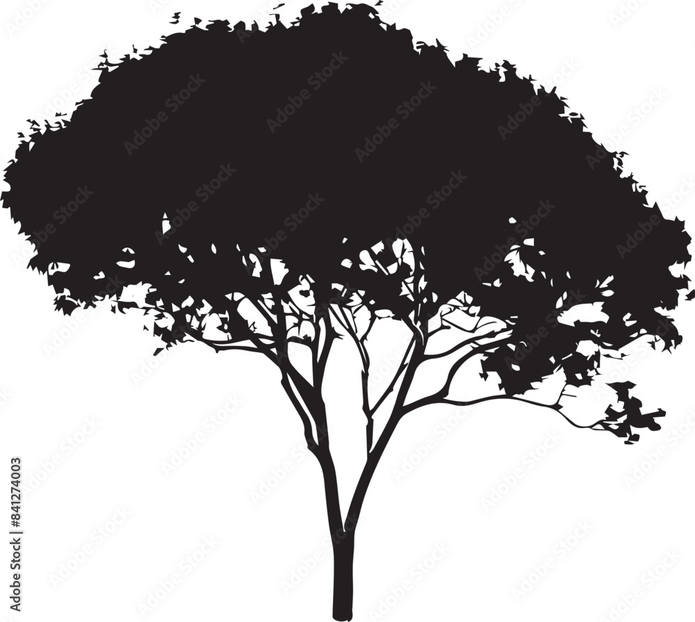 Obraz premium silhouette of tree
