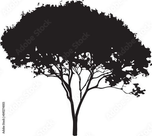 silhouette of tree