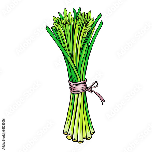 Fresh Lemongrass Fresh Lemongrass