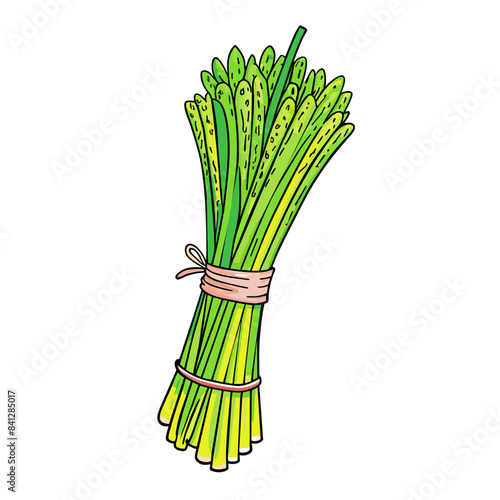 Fresh Lemongrass Fresh Lemongrass