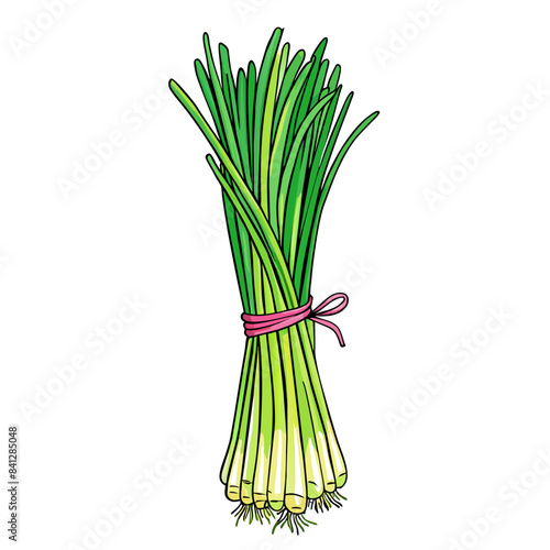 Fresh Lemongrass Fresh Lemongrass