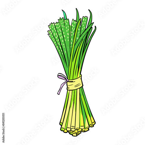 Fresh Lemongrass Fresh Lemongrass