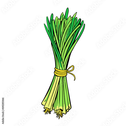 Fresh Lemongrass Fresh Lemongrass