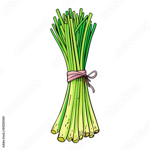 Fresh Lemongrass Fresh Lemongrass