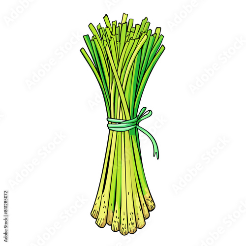 Fresh Lemongrass Fresh Lemongrass