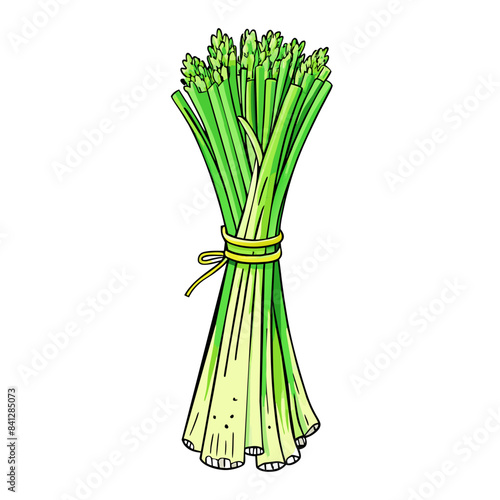 Fresh Lemongrass Fresh Lemongrass