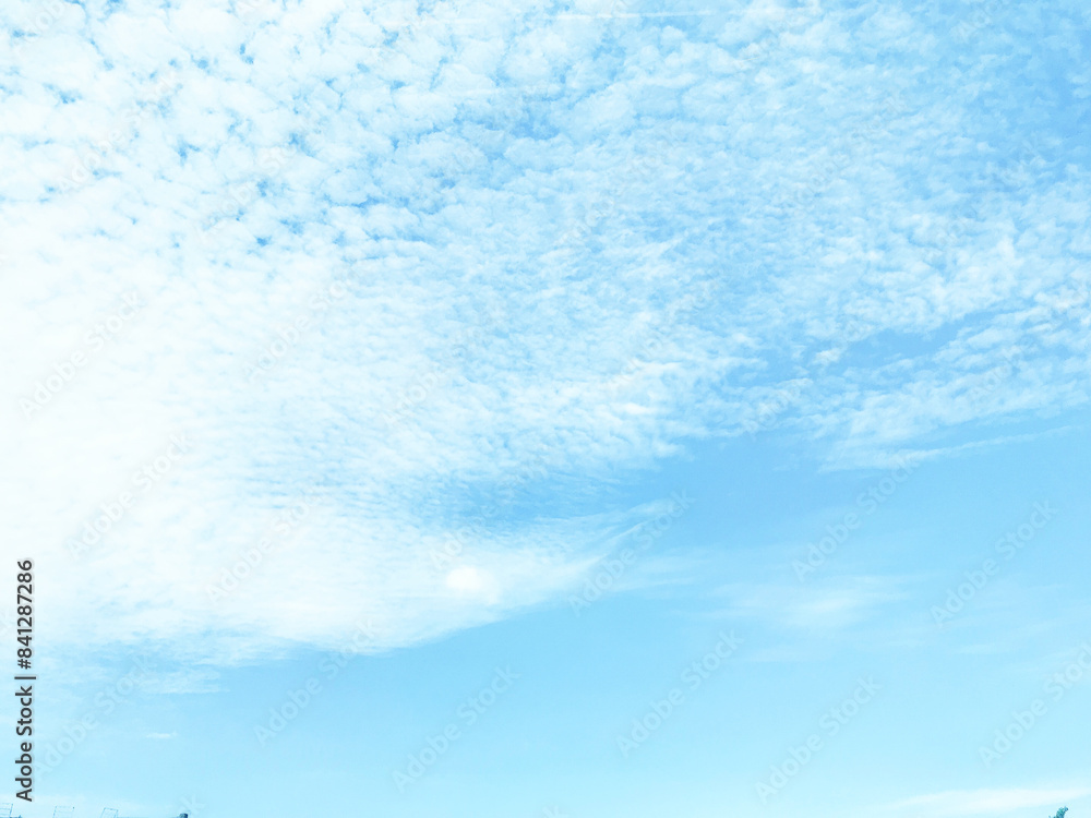 Obraz premium Bright Blue Sky