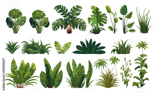 Rainforest vegetation set vector flat isolated vector style illustration