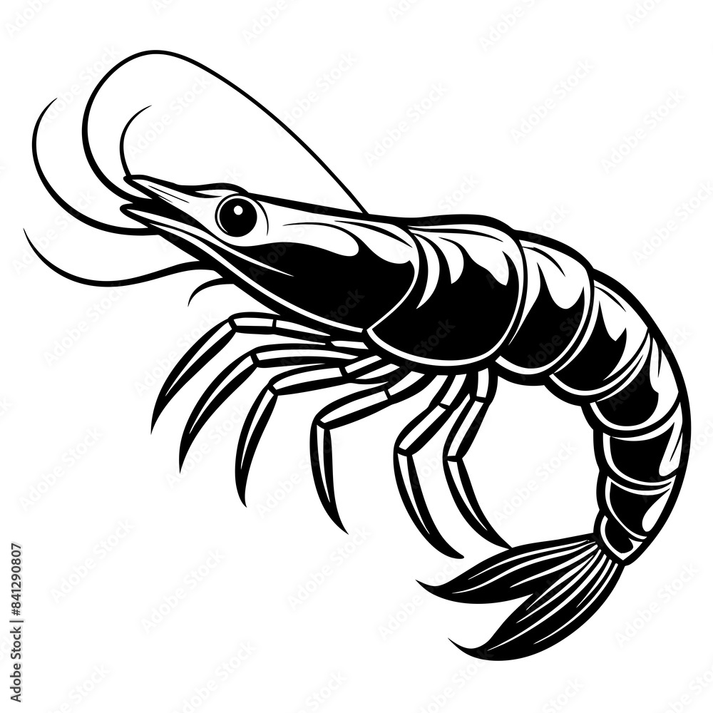 shrimp vector illustration shrimp vector illustration