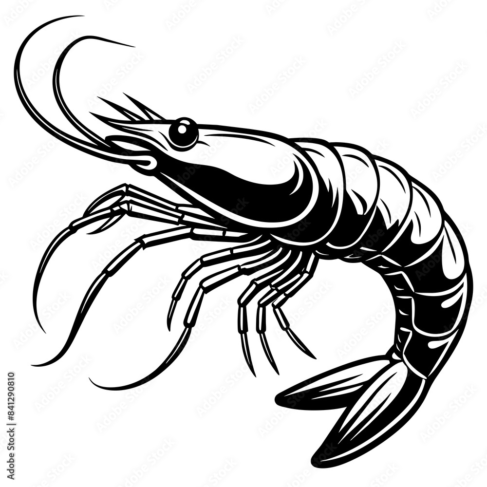 shrimp vector art white background shrimp vector art white background