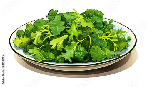 Rich plate of salad from green leaves mix and isolated vector style illustration --ar 5:3 --v 5.2 Job I