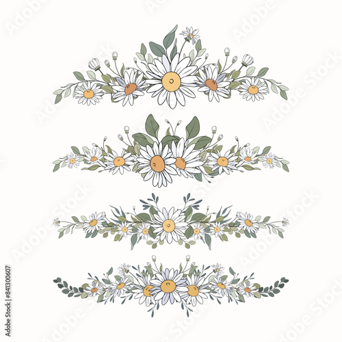 Hand Drawn Daisy Leaf and Flowers Collection