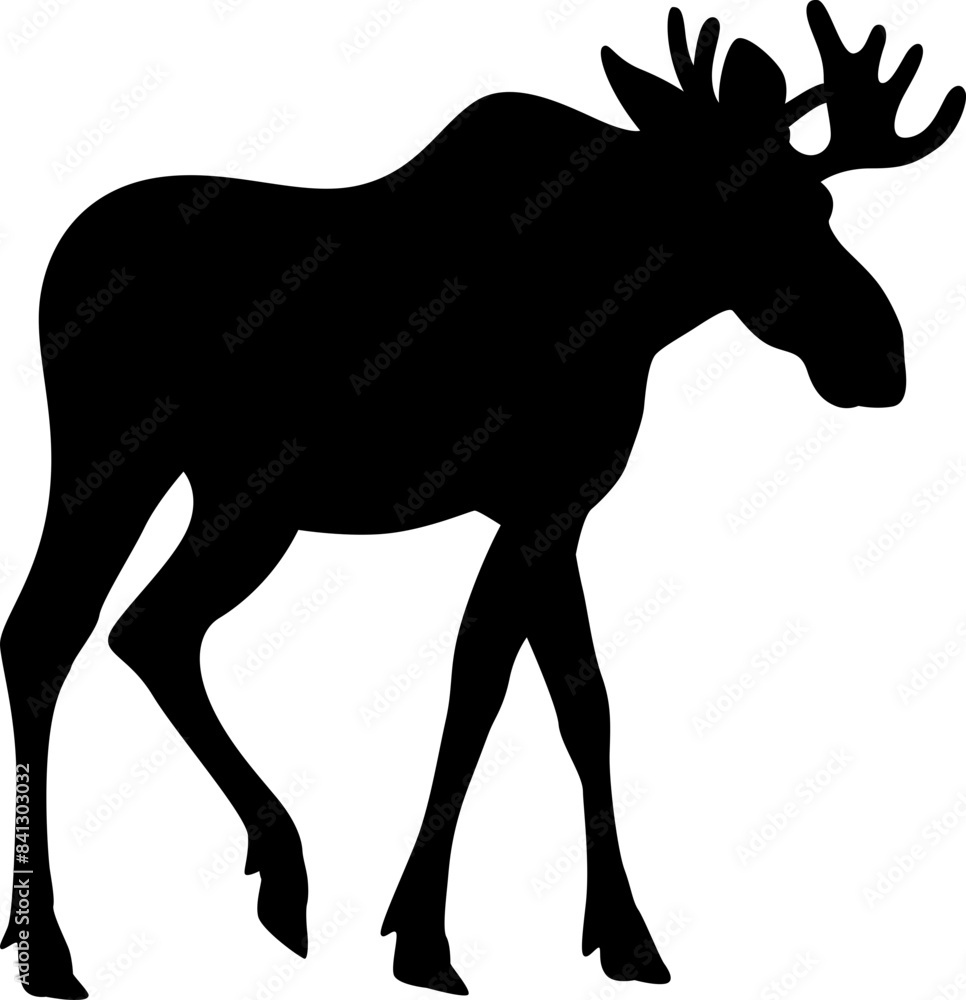 Fototapeta premium moose silhouette