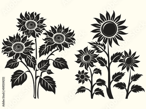 Sunflower silhouette set, set isolated silhouette sunflower, balck and white sunflower