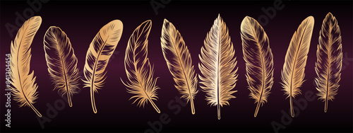 Gold feathers, bird wings plumage collection. Golden Soft fluffy quills set. vector illustration