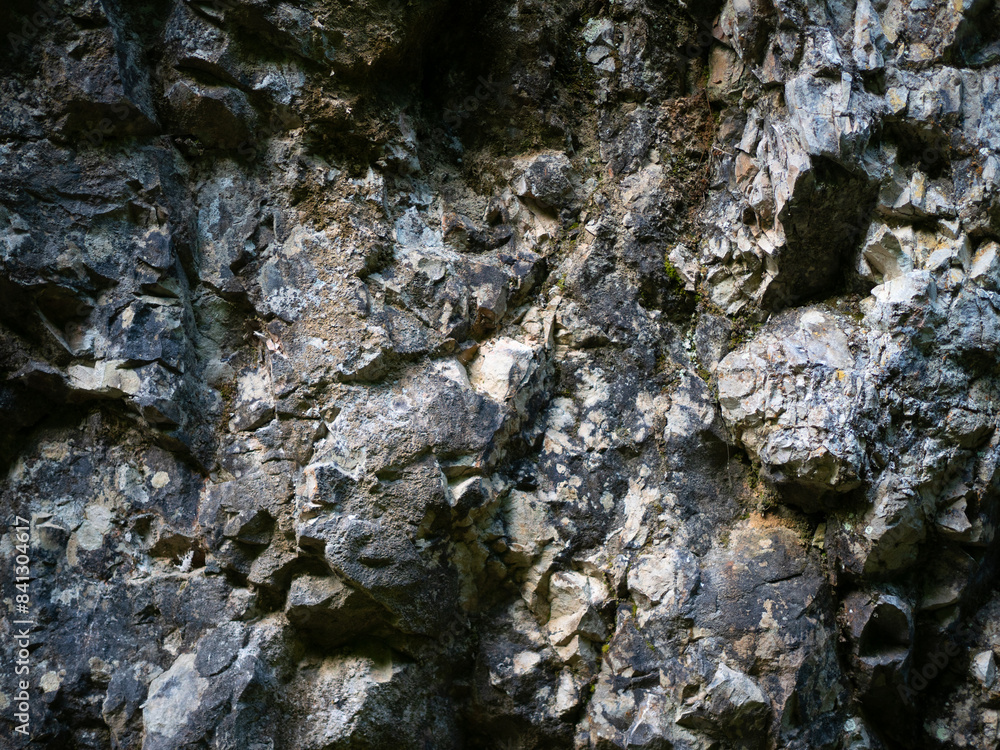 Textures and background. Mountain wall in the forest. Textures and background. Mountain wall in the forest.