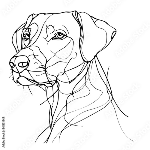 abstract Line art Drawing of sitting dog , Hand drawn illustration, dog outline illustration. Cute pets