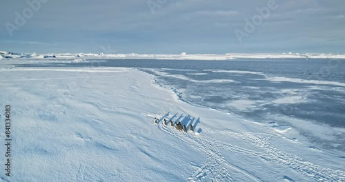 Slow motion penguins running Antarctica snow covered ocean coastline. Explore wildlife. Beauty of wild animals life, untouched nature, South Pole. Sea birds migration footprints. Aerial drone footage