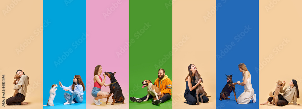 Obraz premium Collage. Various people and their dogs against colorful backgrounds. Man and women playing with joy with their little friends. Concept of pets lovers, emotions, friendship, animals, companion. Ad