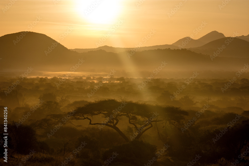 Obraz premium Sunrise in africa