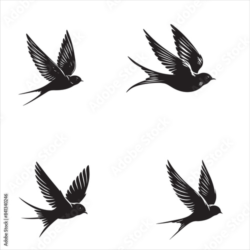 silhouette of a swift flying the bird isolated on white background 
