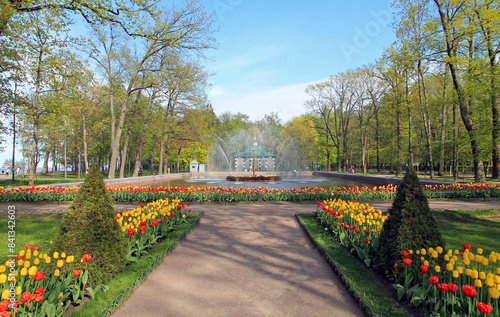 Россия, Санкт - Петербург, Петергоф. Нижний парк и фонтаны в музее - заповеднике 