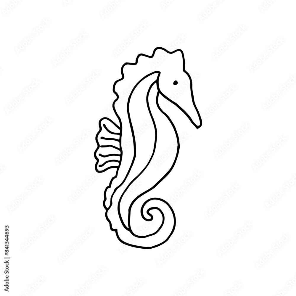 Obraz premium Seahorse, underwater animal. Fish. Doodle. Vector illustration. Hand drawn. Outline.