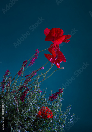 summer flowers on a dark blue background