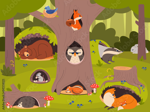 Animals in holes. Forest landscape with foxes, bears, cute owls and badgers in their homes, wood glade, hollows, nests and burrows, childish cartoon flat style isolated vector concept