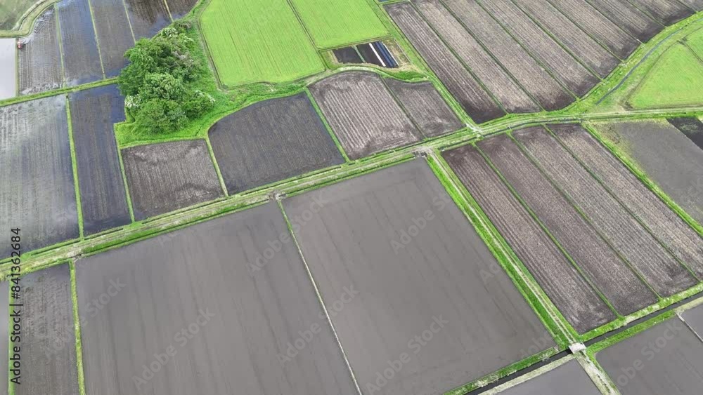 空撮　田園風景　6月　田植えの後　水が張った水田　日本　農業　イメージ