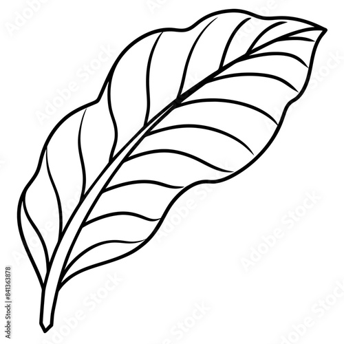 Banana leaf outline coloring book page line art drawing