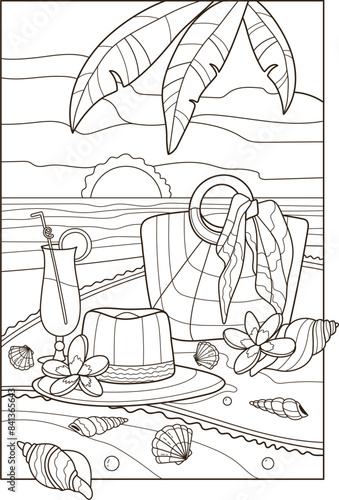 Set with starfish and shells. Coloring book for children. Summer coloring pages. Vector line art