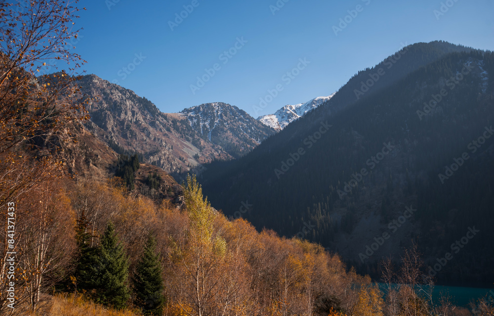 Beautiful autumn afternoon in mountains. Trees on the edge of a hill in fall colors. Wonderful countryside on a sunny weather in evening. Beautiful autumn afternoon in mountains. Trees on the edge of a hill in fall colors. Wonderful countryside on a sunny weather in evening.