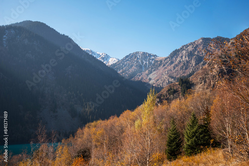 Beautiful autumn afternoon in mountains. Trees on the edge of a hill in fall colors. Wonderful countryside on a sunny weather in evening.