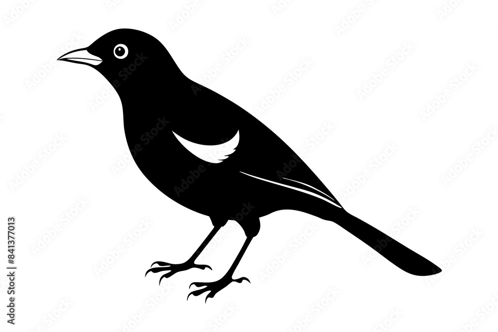 myna silhouette vector illustration myna silhouette vector illustration