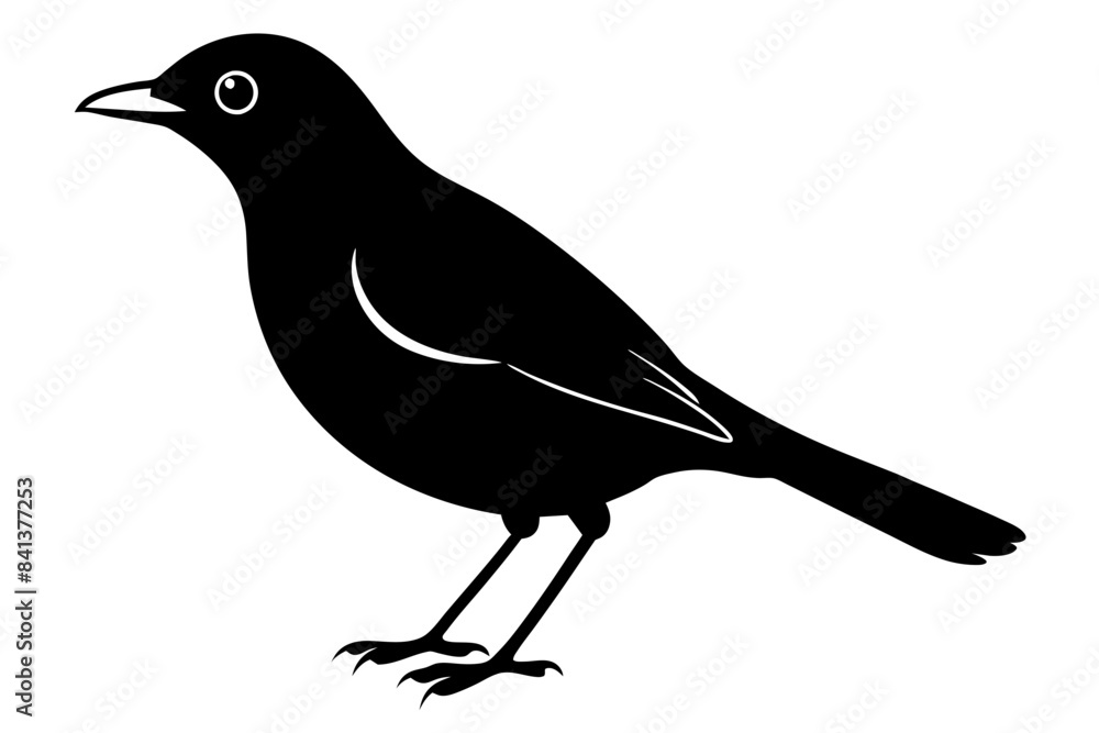 myna silhouette vector illustration myna silhouette vector illustration