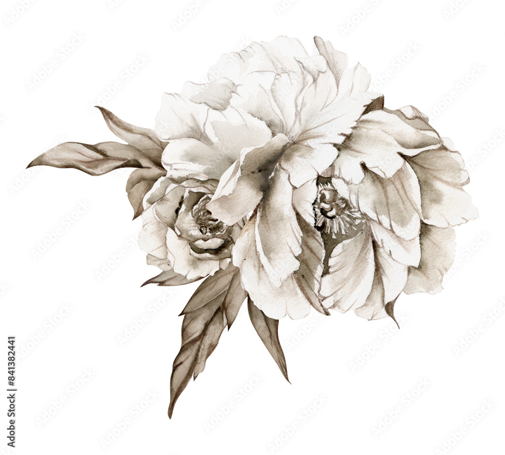 Hand drawn watercolor grisaille monochrome bouquet with peony, tulip, rose flowers, buds and leaves. Isolated on white background. Invitations, wedding or greeting cards, floral shop, print, textile Hand drawn watercolor grisaille monochrome bouquet with peony, tulip, rose flowers, buds and leaves. Isolated on white background. Invitations, wedding or greeting cards, floral shop, print, textile
