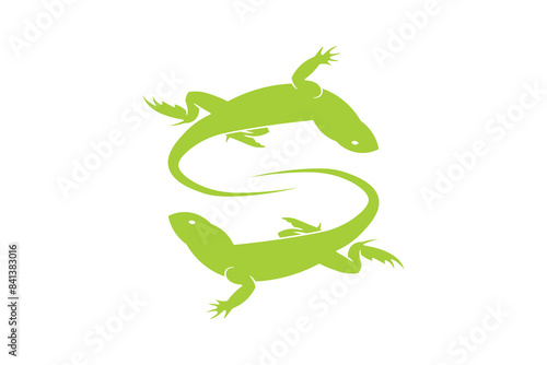 green lizard on white background