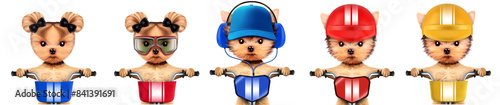 Funny racer dog with bike and aviator googles