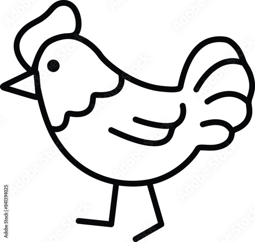 A chicken is walking on a white background