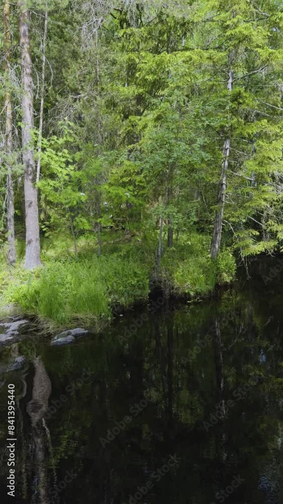 A picturesque river flows through a rocky terrain with small waterfalls surrounded by a dense forest. The sunlight glistens on the water, enhancing the serene and beautiful natural landscape, perfect A picturesque river flows through a rocky terrain with small waterfalls surrounded by a dense forest. The sunlight glistens on the water, enhancing the serene and beautiful natural landscape, perfect