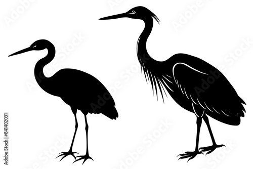 black heron vector silhouette illustration