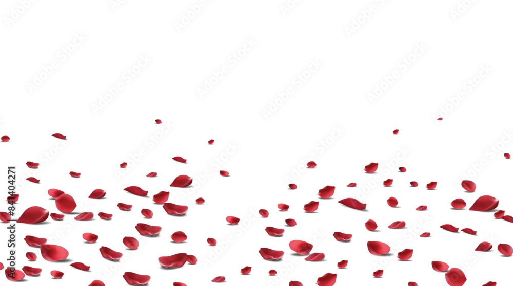 Red rose petals will fall on abstract floral background with gorgeous rose petal greeting card design. Red rose petals will fall on abstract floral background with gorgeous rose petal greeting card design.