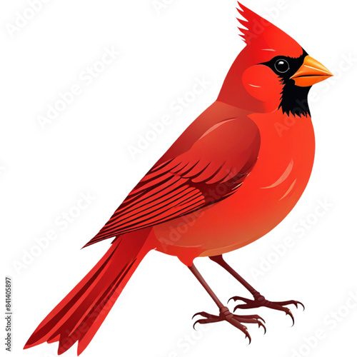 A red charming cardinal bird