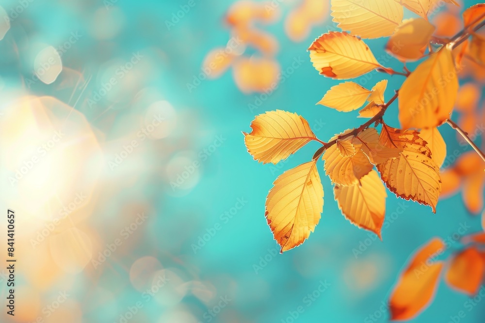 Close-up of an orange yellow apple tree leaf against a blue turquoise sky background with the sun shining through in nature one last time before winter. Close-up of an orange yellow apple tree leaf against a blue turquoise sky background with the sun shining through in nature one last time before winter.