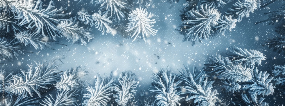 The image shows a blue winter scene with snow-covered branches, a snow drift against the snowfall in the forest. The image has a copy space on the right. The image shows a blue winter scene with snow-covered branches, a snow drift against the snowfall in the forest. The image has a copy space on the right.
