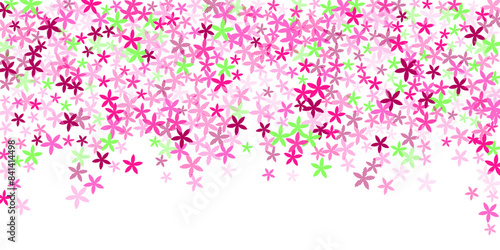 Silene simple flowers vector illustration. Small garden blossom shapes isolat...
