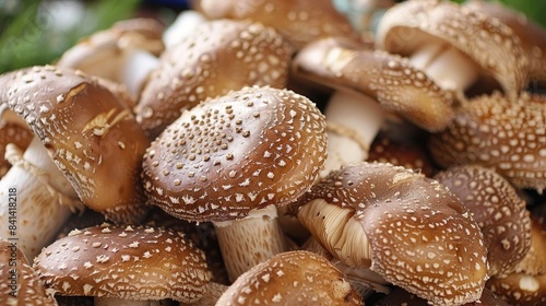 Shiitake mushrooms with textured brown caps painted with white dot patterns, close-up highlights their fresh appearance photo